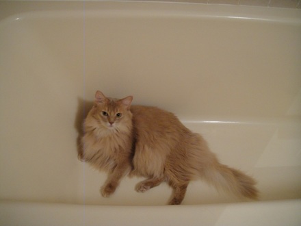 2013092100.jpg