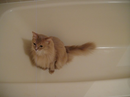 2013092101.jpg