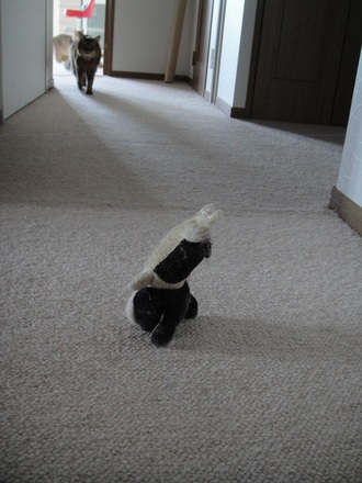 2013092200.jpg