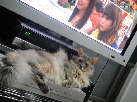 2013092900.jpg