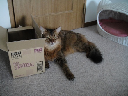2013092901.jpg