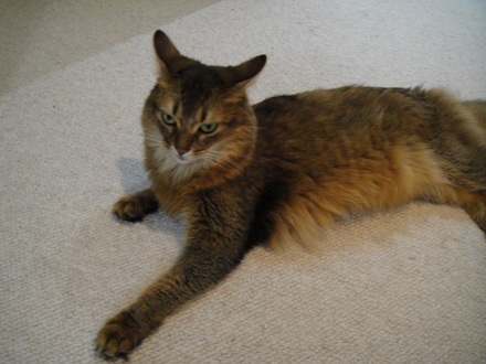2013092902.jpg