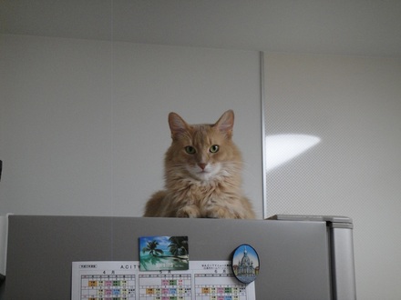 2013100600.jpg