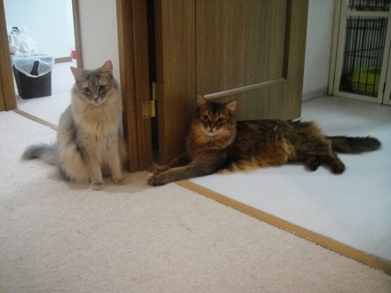 2013100601.jpg