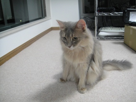 2013101203.jpg