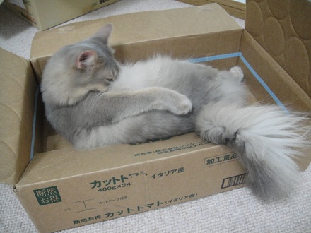 2013101700.jpg