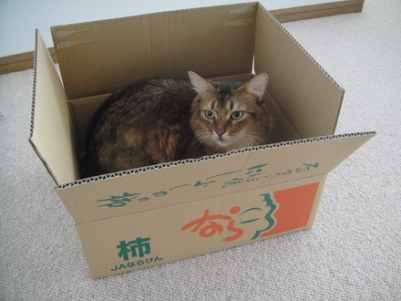 2013101901.jpg