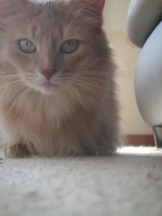 2013102603.jpg