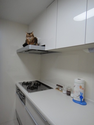2013111701.jpg