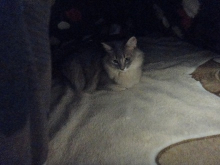 2013120900.jpg