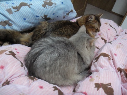 2014011001.jpg
