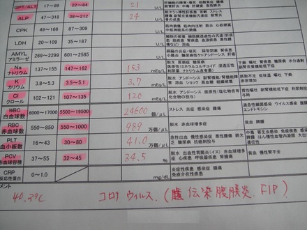2014020900.jpg