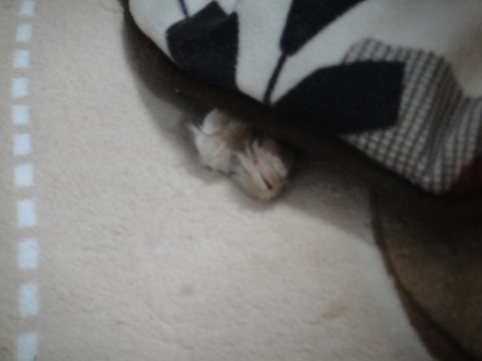 2014022301.jpg