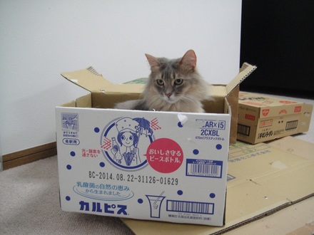 20140509.jpg