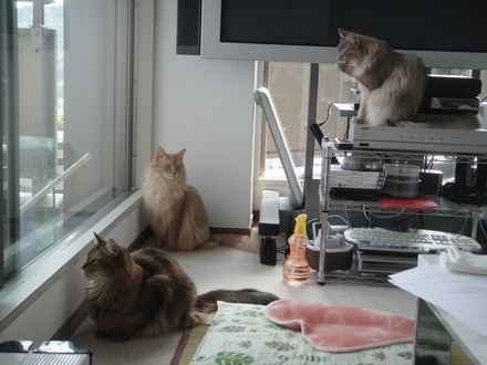 2015052701.jpg