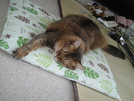 2015053105.jpg