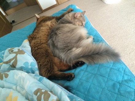 2015090701.jpg