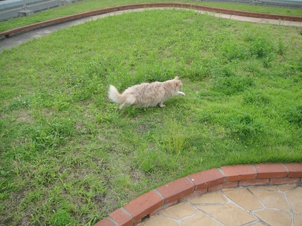 2018052601.jpg