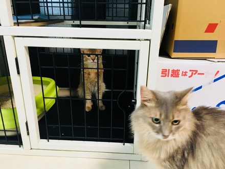 2018081213.jpg