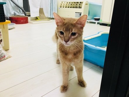 2018090602.jpg