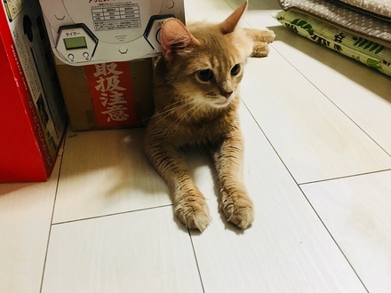 2018091003.jpg