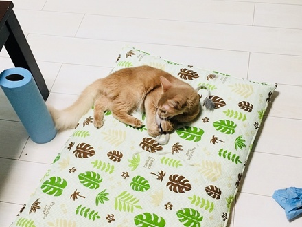 2018092407.jpg