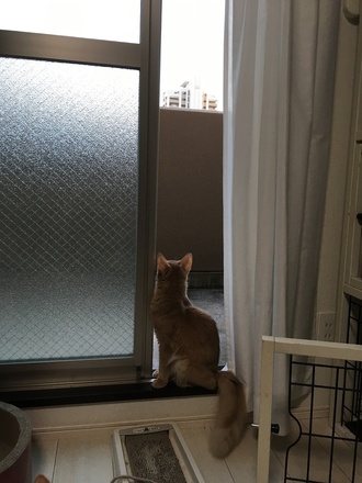 2018100802.jpg