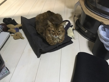2019042901.jpg