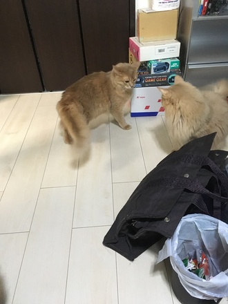 2019042903.jpg