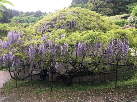 2019050510.jpg