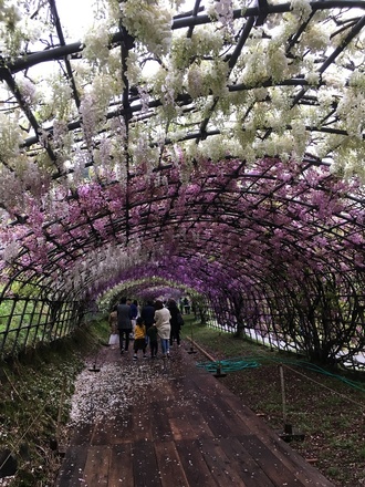 2019050511.jpg
