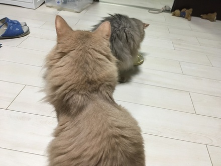 2019071517.jpg
