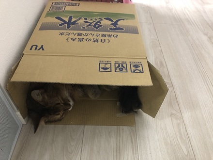 2021070101.jpg