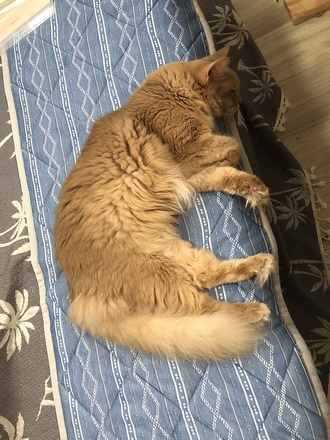 2021073105.jpg