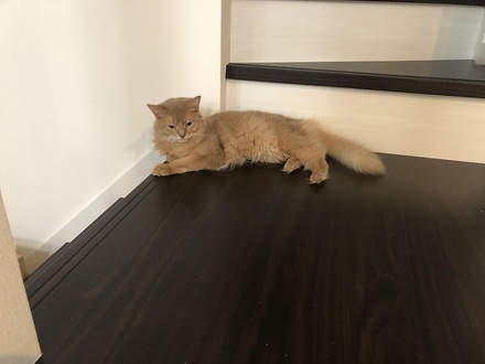 2021081104.jpg