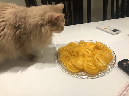 2023072801.jpg