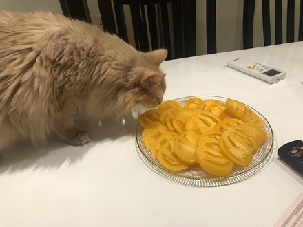 2023072802.jpg