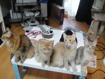 DSC01047l.JPG