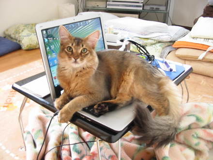 pc00.jpg